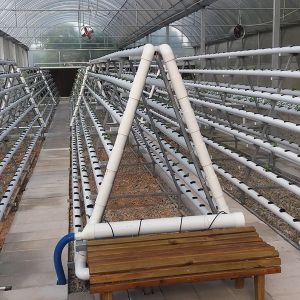 China 自動管理による水効率の良いNFT水栽培システム wholesale