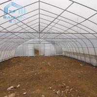 China Single-span PE Covered Tunnel Plastic Greenhouse For Strawberry Grape Raspberry on sale