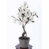 China 55CM Artificial Bonsai Tree , Artificial Decorative Trees For Harried Modern Lifestyle wholesale