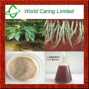 China Wholesale Powdered Ginseng Extract Solvent Extraction HPLC for Women's health on sale 