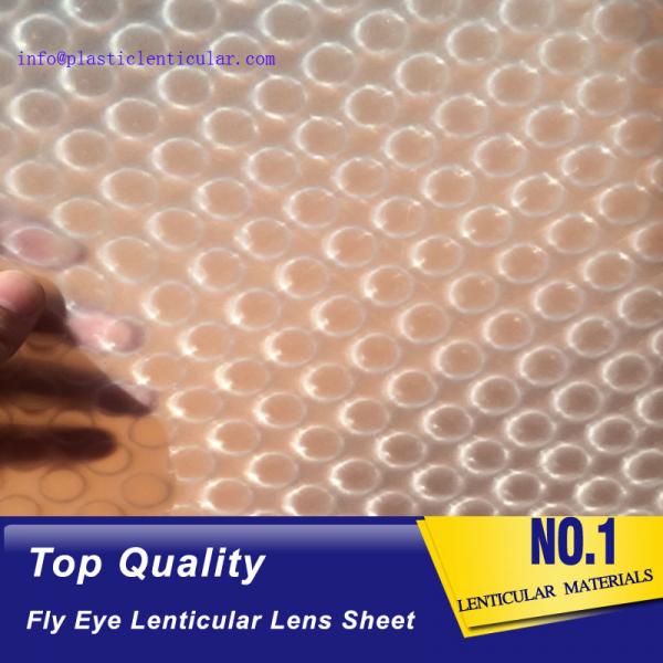 PLASTIC LENTICULAR latest flying 3d lenses fly-eye plastic sheet film with 3d