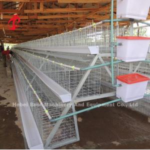 96 Birds And 120 Birds Chicken Battery Cage For Sale Star