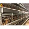 China Animal Poultry Husbandry Equipment 5 Tier H Type Day Old Chicken Baby Chick Brooder Cages for Chicks wholesale