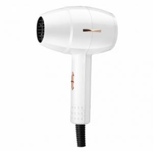 Dual Voltage Lightweight Blow Dryer , DC Hair Dryer With Concentrator Diffuser