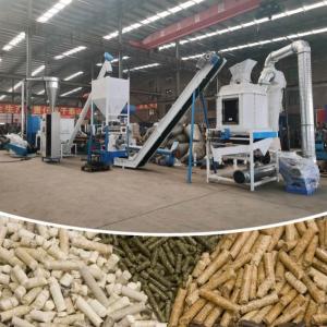 Chicken Cattle Goat Animal Feed Pellet Production Line Ring Die Pellet Mill