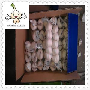 Fresh Style fresh nomal garlic Chinese Fresh Normal White Garlic 5.5 cm