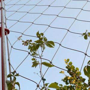 Anping flexible stainless steel cable mesh,diamond mesh fence wire fencing