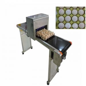 China 600DPI Egg Date Stamp Machine / Inkjet Marking Machine With High Performance supplier