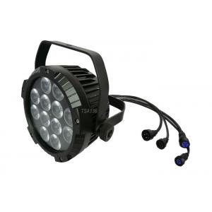 IP65 4 /5/6 in one Outdoor Waterproof Led Flat Par Lamps 12 Leds Outdoor Use TSA136