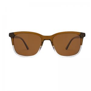 Square Shape retro eyewear sunglasses Classic Transparent Polarized Sunglasses