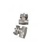 OEM Available DN40 PN25 Stainless Steel Cryogenic Check Valve For LNG