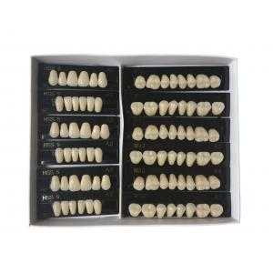China Whitening Composite Resin Teeth For Denture Kit Super Hard 2 Layers supplier