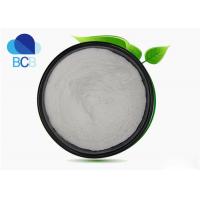 China Pharmaceutical Excipients Crosslinked Povidone PVPP Powder CAS 25249-54-1 on sale