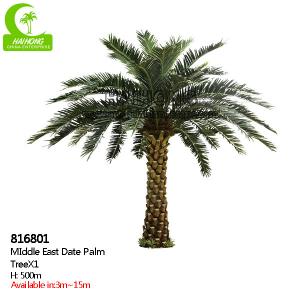 China Supplier Height 500cm Artificial Date Palm Tree High Quality Outdoor Tropical Tree supplier