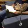 China Traditional Style Wall Mounted LED Reading Lights for Study Room and Car 50000 Hours Lifespan wholesale