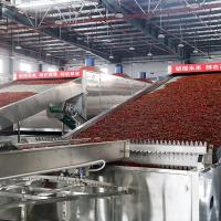 China HengShou Carrot Tomato Fruit Vegetable Processing Line 300 To 1000kg/ H on sale