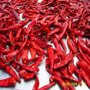 China AB Spicy Chilli Pepper Fine Powder COA Halal Certification 100g supplier