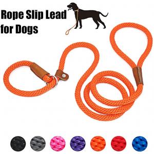 China Slip Braided Rope Heavy Duty Dog Leash No Pull Training Lead Nylon Material supplier