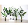 3-8 Ft Artificial Indoor Plants , Bird Of Paradise Artificial Bonsai Tree