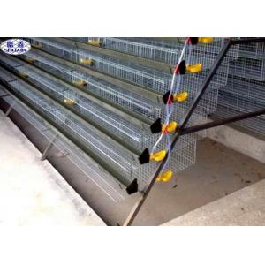 China Automatic Quail Egg Laying Cages Battery Operated Design Customized Size supplier