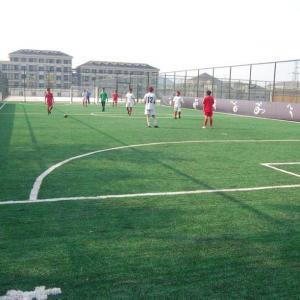 China Sports Non Infill Artificial Grass Soccer Field Envrionmental Protection supplier