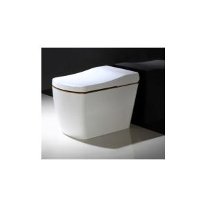 Floor Mounted Automatic Bathroom Smart Toilet Customized White Color 110 - 220v