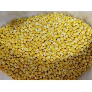 Iqf 24 Months Frozen Sweet Corn Kernels