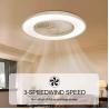 Wholesale factory Luxurious 48W RGB LED Ceiling Fan Smart Light Modern Remote App Wi-Fi / Music Control Modern Ceiling Fan LED