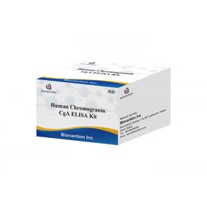 CgA ELISA RUO Test Kit Human Chromogranin A Elisa Kit Pituitary Secretory Protein I