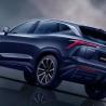 China Mgnt Certification ISO10012 Diesel SUV Performance Jietu Dasheng 2023 1.6t DCT King Plus wholesale