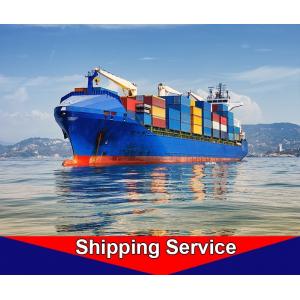 LCL Ocean Freight Transportation Agent Qingdao To Hamburg Amsterdam