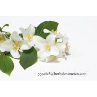 Jasmine Extract, Jasmine Flower Extract, 4:1,10:1 TLC, Qualified manufacturer, Shaanxi Yongyuan, high quality
