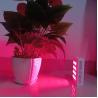 China 60W LED Light Therapy Mask 660nm 850nm Red Light Therapy Panel wholesale