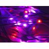 Venta caliente Multi Color 24v RGBIC control remoto y wifi Controlador Luces de banda de píxeles LED luces de la ventana