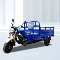 China 400kg Payload Capacity 200cc Petrol Cargo Tricycle for Cargo Transportation on sale