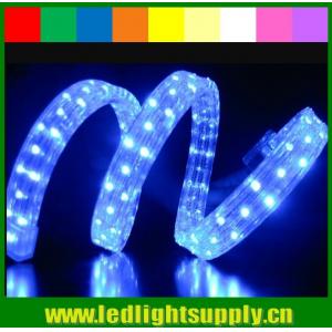 China 100 meters PVC led rope light 4 wires DIP 5mm led flex rope for club supplier