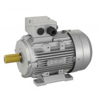 China 3 phase asynchronous induction motor on sale