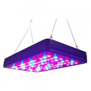 Plants science project used full spectrum CIDLY led grow lights 5W chip led for plants