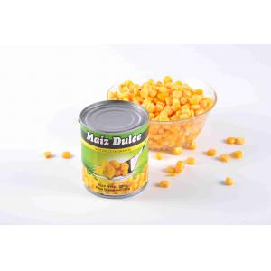 Traditional High Protein Sweet Corn In Can No Preservative ISO Certification