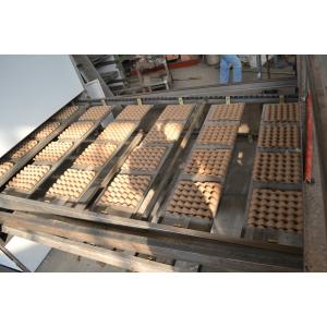 Recycled Waste Paper Egg Crate Making Machine High Capacity Easy Operation