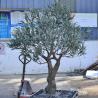 China Customized Realistic UV Resistant Large Indoor Olive Tree​ For Commercial Projects Residential Use wholesale