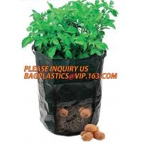 China Garden grow bag potato grow bag murphy bag PE fabric,40 / 50 / 100 / 200/300gallon durable heavy duty potato grow bag on sale