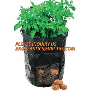 Garden grow bag potato grow bag murphy bag PE fabric,40 / 50 / 100 / 200/300gallon durable heavy duty potato grow bag