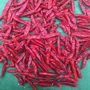 China 1.5cm Premium Red Chilli Ring  Package 1-20KG/CTN Seeds 0-35% supplier