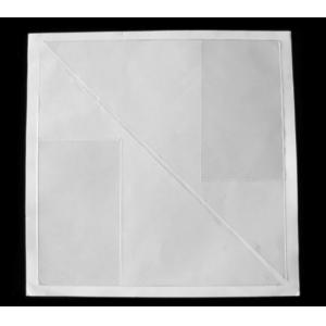 Self Adhesive Documents Enclosed Envelopes , Custom Packaging Envelopes