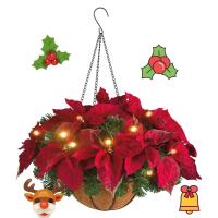 China Dazzling Poinsettia Artificial Hanging Baskets Indoor Outdoor on sale