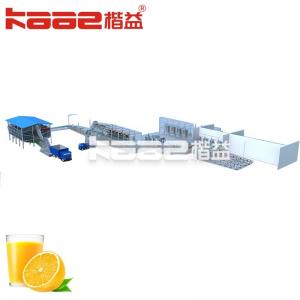 Customized NFC Juice Processing Equipment Fully Automatic Food Grade Material