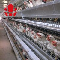 China Cage Manufacturer 90 - 160 Birds Hot Galvanized Laying Hen Farming Equipments Layer Chicken Cage on sale