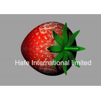 China Red Color 5M Height Inflatable Strawberry With 10M Rope For Fruit Festival UK on sale