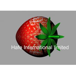 China Red Color 5M Height Inflatable Strawberry With 10M Rope For Fruit Festival UK supplier